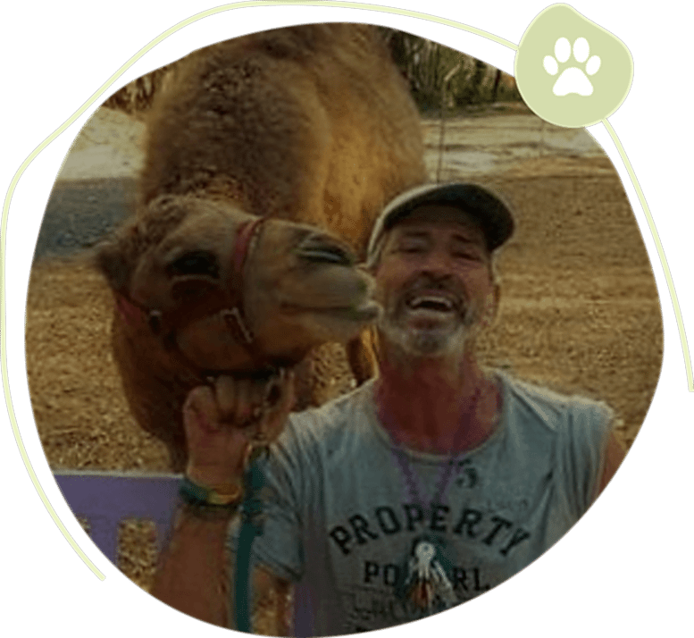 All Critters Pet Boarding Service