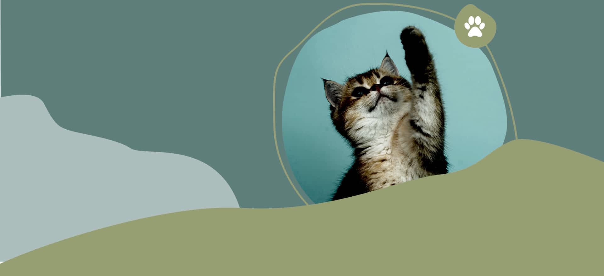 All Critters Pet Boarding Service